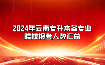 2024年云南專升本各專業院校報考人數匯總