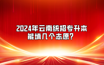 2024年云南統(tǒng)招專升本能填幾個(gè)志愿？