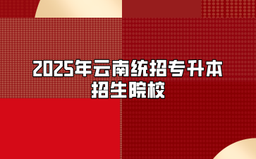 2025年云南統招專升本招生院校